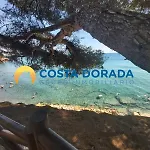 Gicd La Palmera