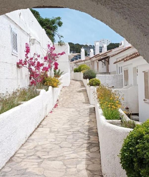 Cap Village *