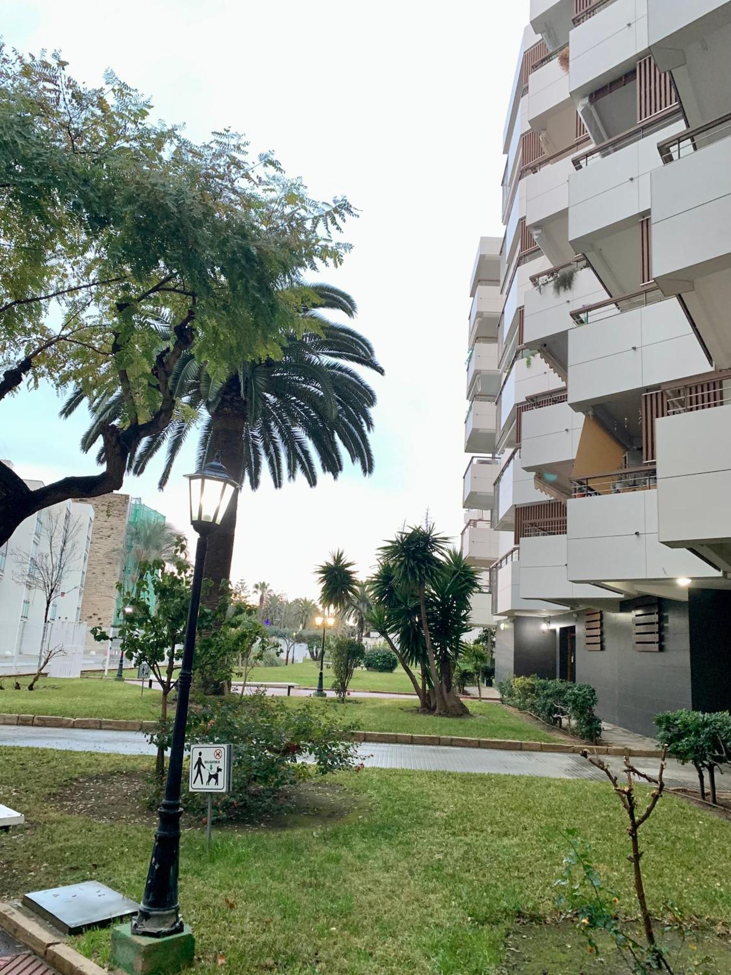 Apartment Salouru