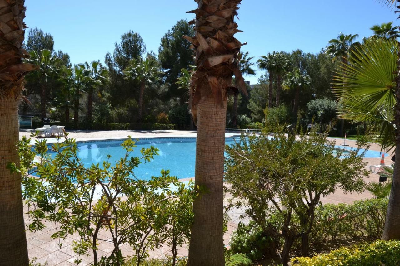 Appartement Lovely Familiar With Pool In Cap *
