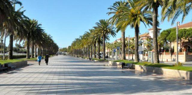 Apartamento Playa Jaime I *