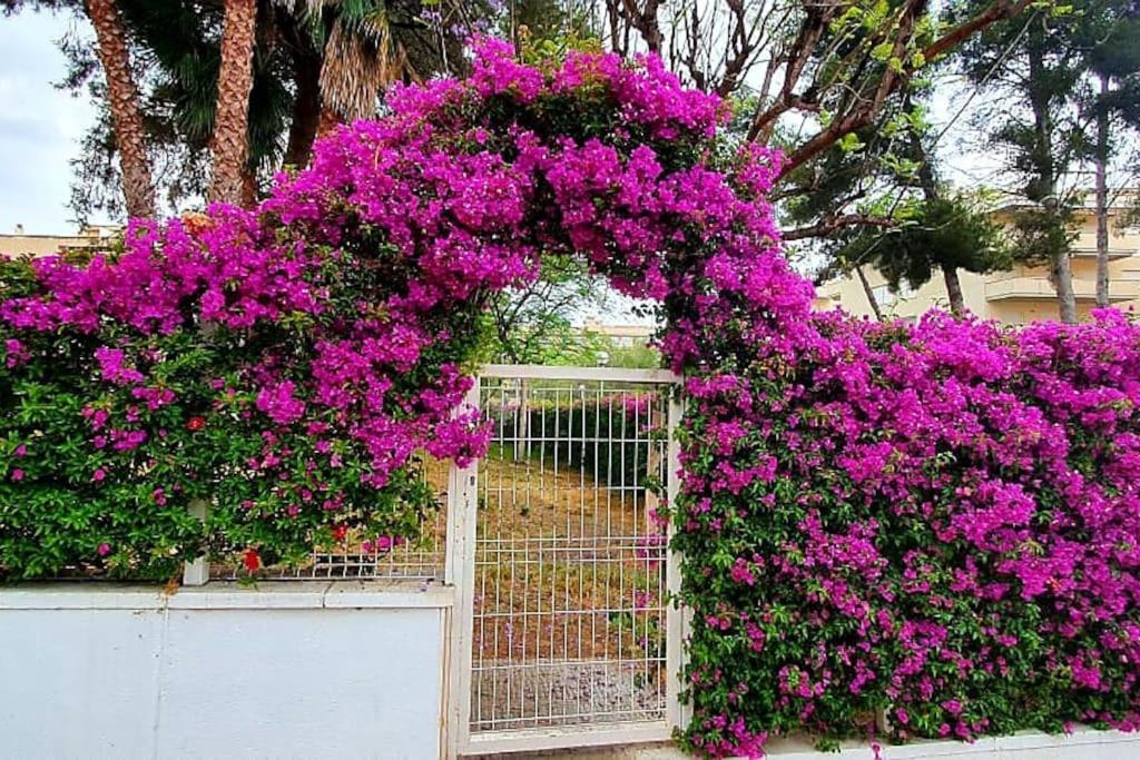 Golden Pineda Family Complex With Parking * Salou