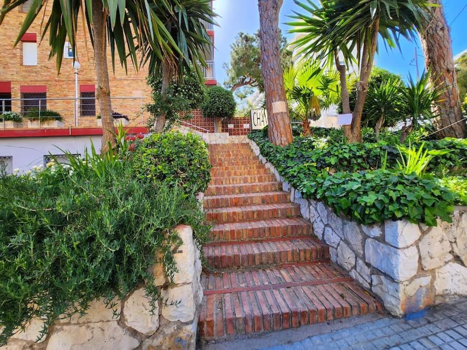 Apartment Large In Front Of The Beach! Withparking *