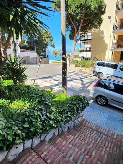 Large In Front Of The Beach! Withparking