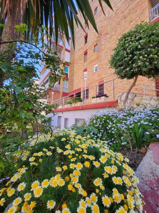 Apartment Large In Front Of The Beach! Withparking