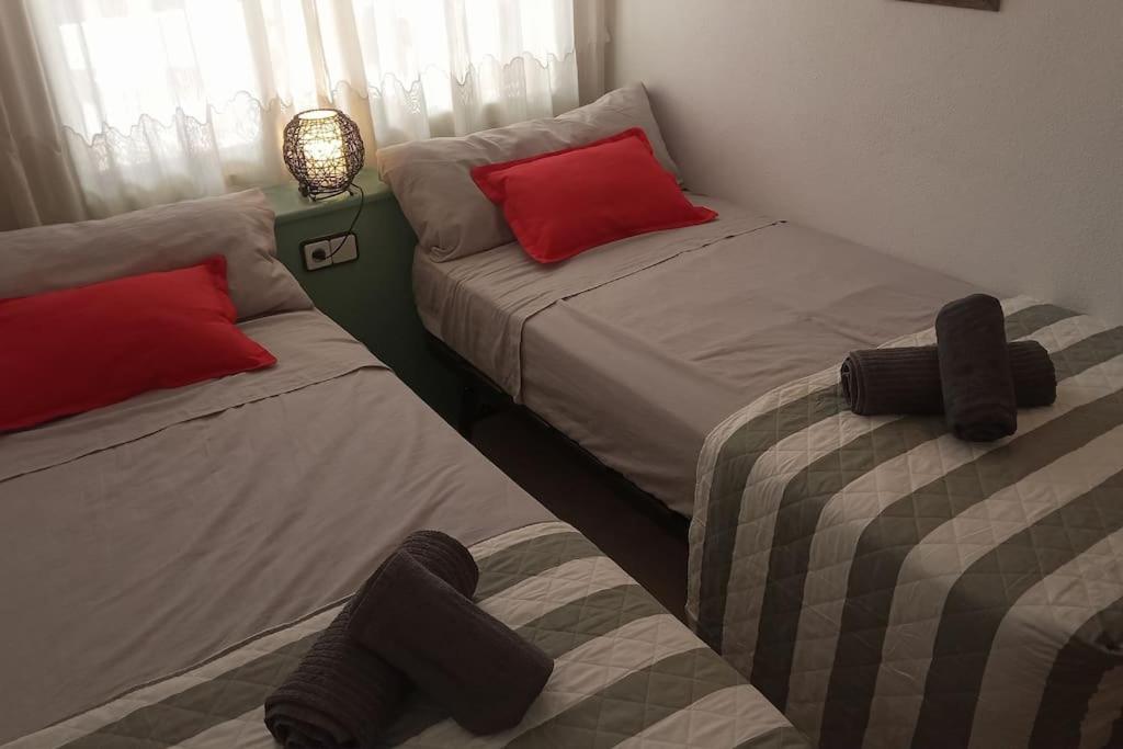Apartment Free Parking *