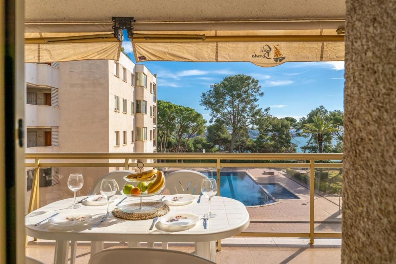 Appartement Oasis *
