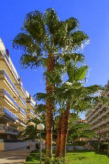 Apartment Rentalmar Ventura And Village Park Families Only *