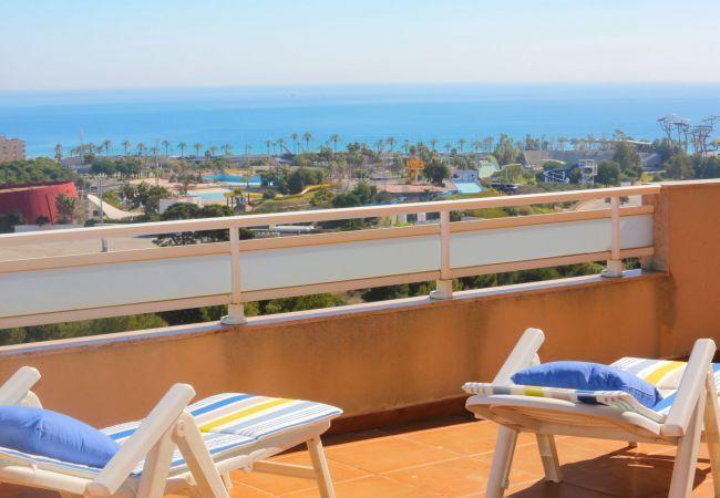 Vakantiehuis Mirador