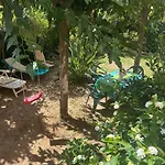 El Jardin De Las Maravillas