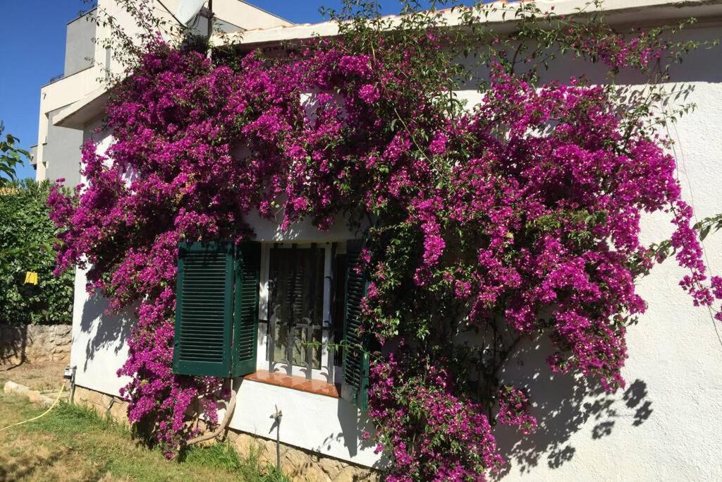 Casa de férias La Casa Del Bosc, Playa Y Golf -