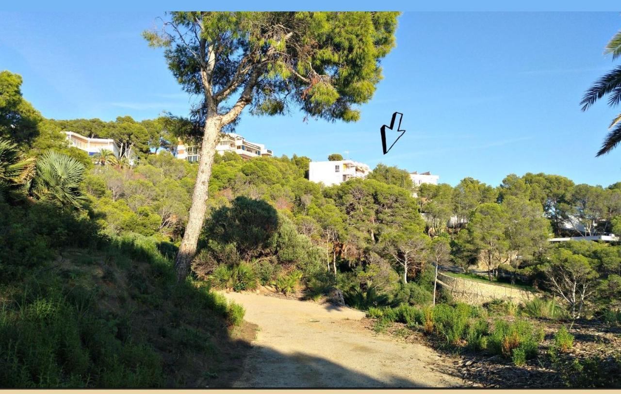 Apartment Ole Ole Salou