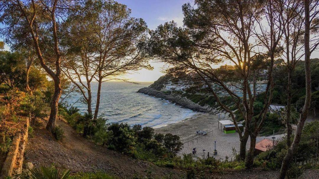 Excellent Sea View, Free Parking, Wifi Apartamento *