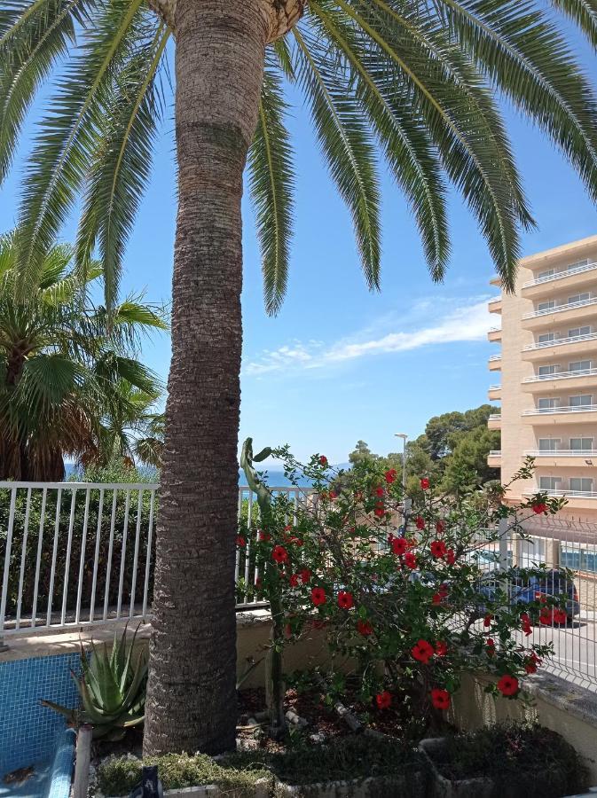 Apartamento Tropical Font 1ª Linea Playa Apartment
