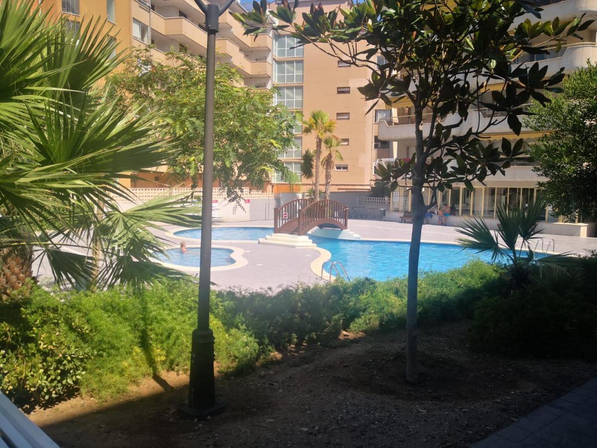 Beautiful In With Pool Access Apartment