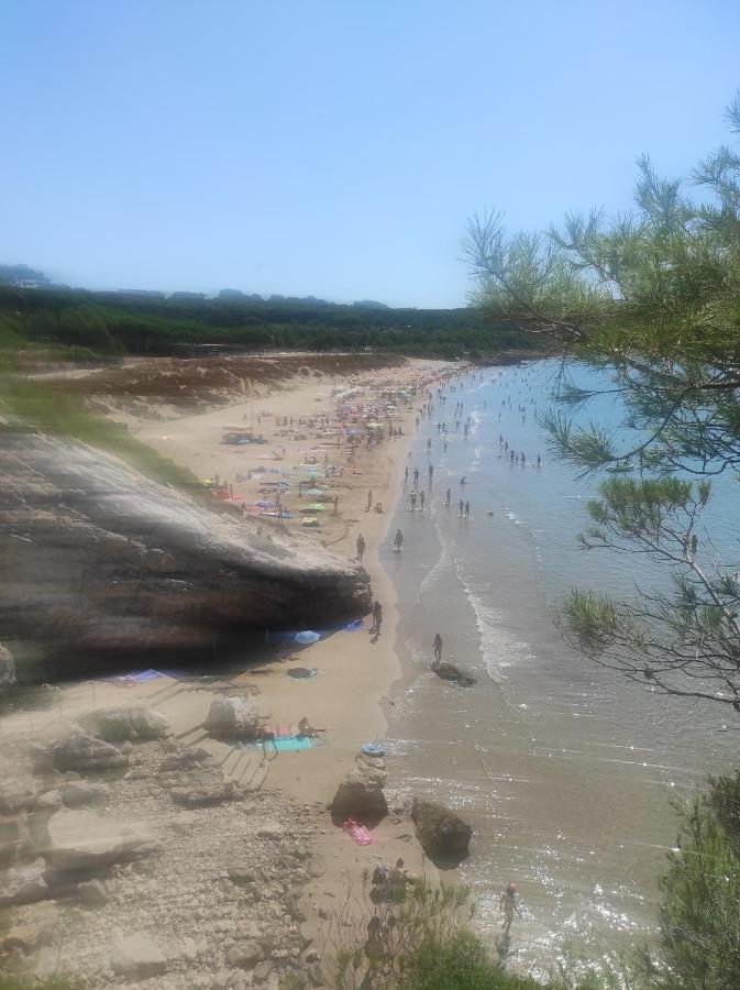 Paradise Village Port Aventuras Apartment Salou
