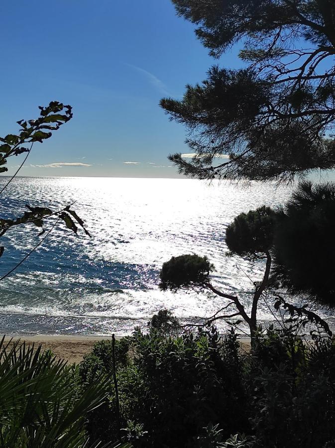 Paradise Village Port Aventuras Apartment Salou