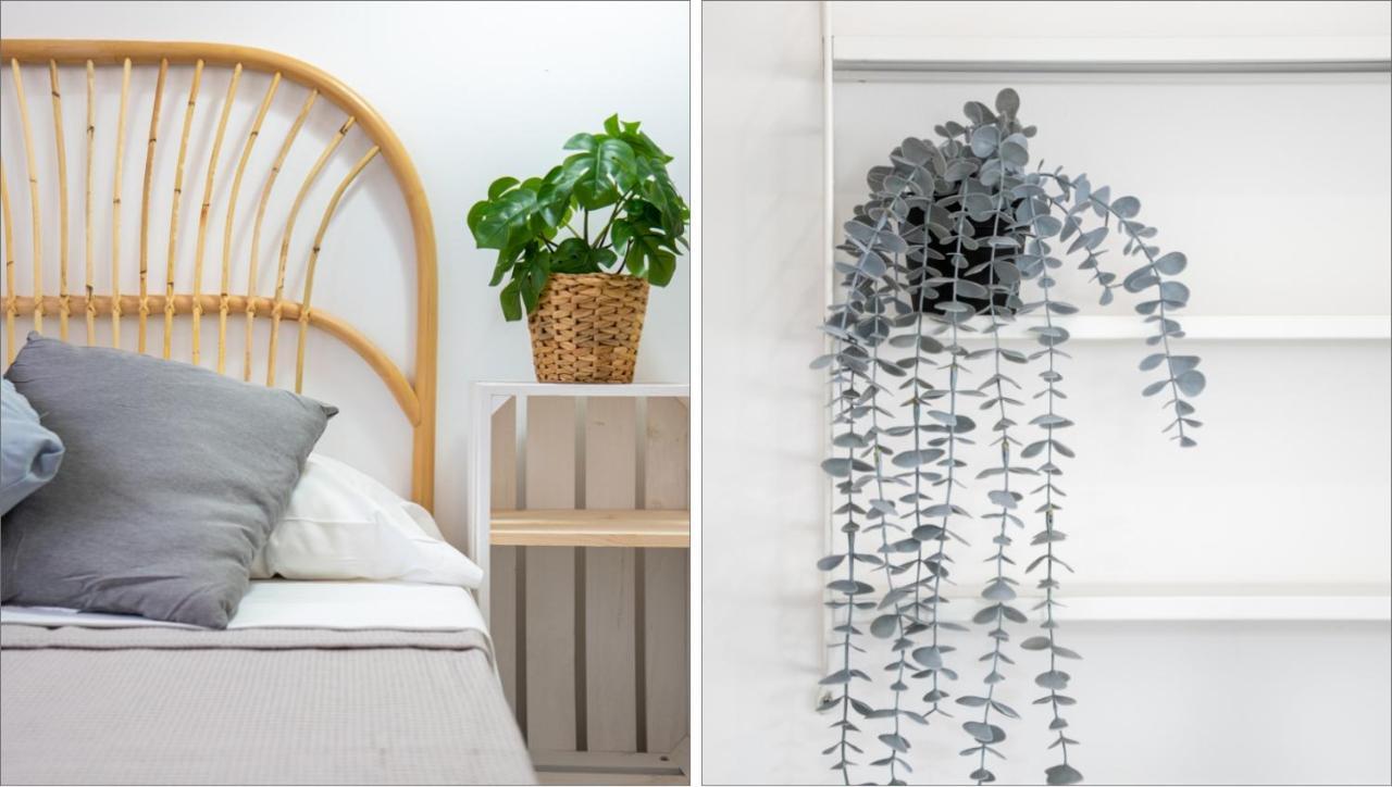 Mediterranean Way - Carpe Diem Apartment