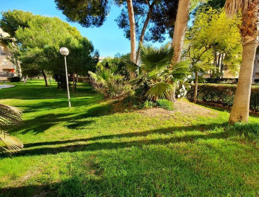 Golden Pineda Family Complex With Parking Apartment