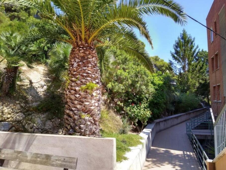 Apartment Faro De Salou