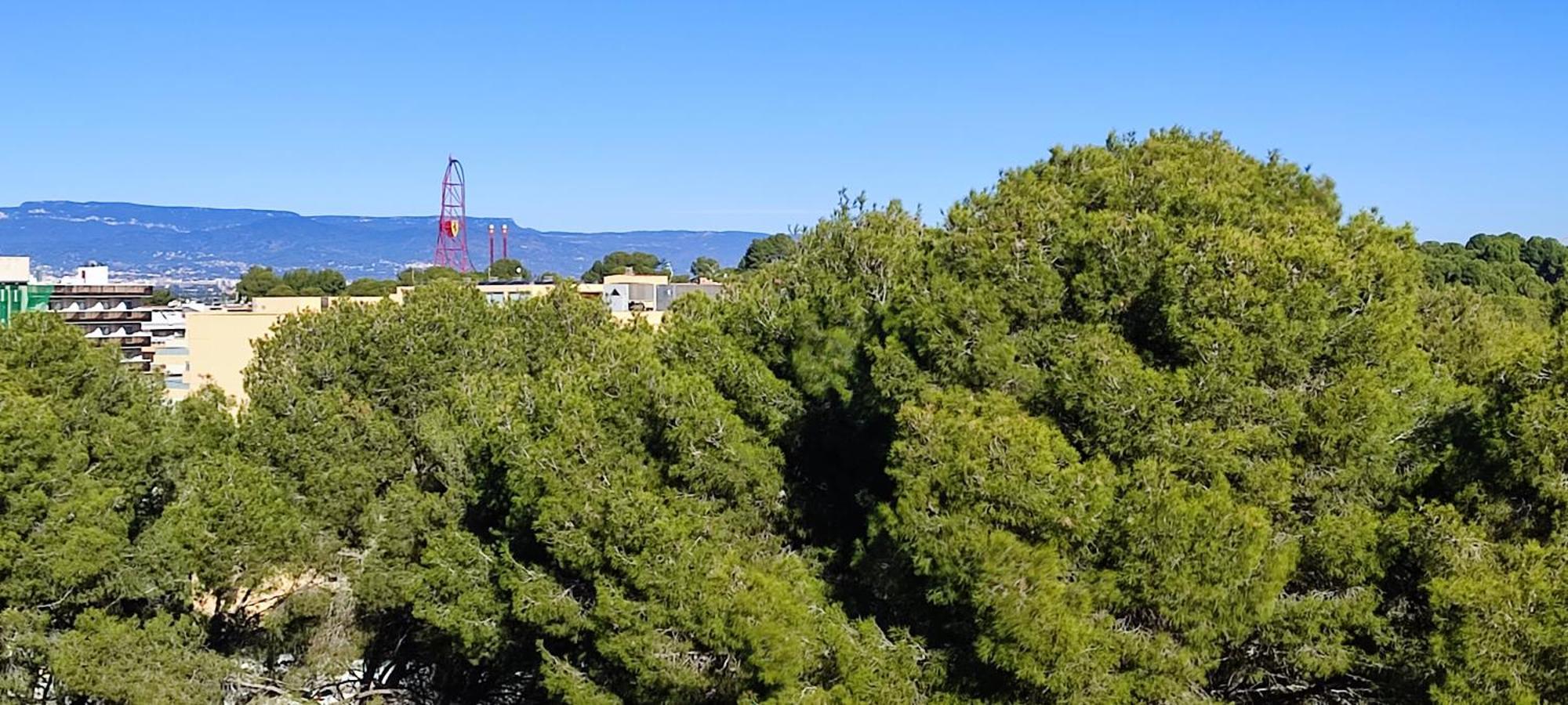Apartment El Mirador Salou