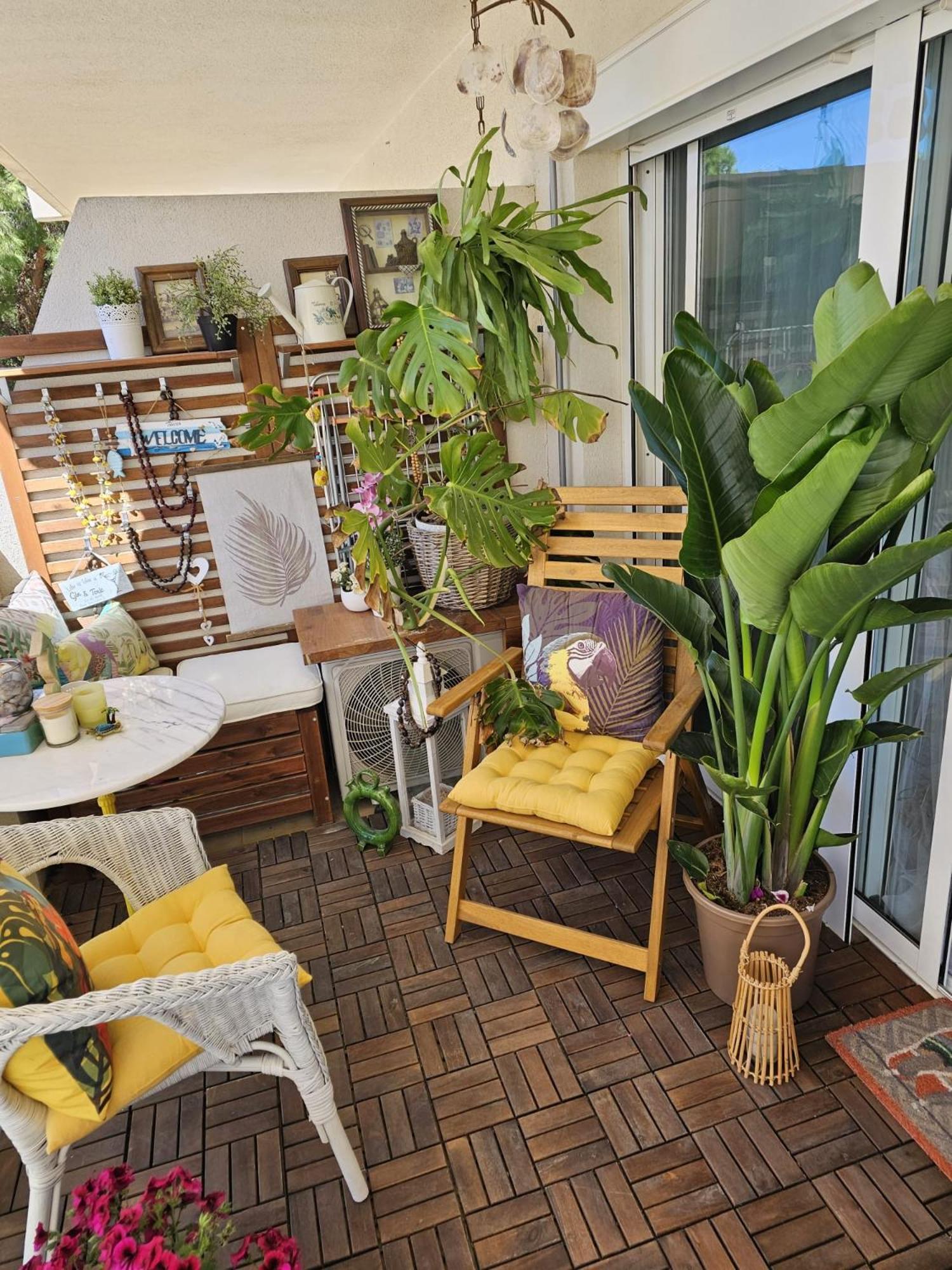 Apartment Apto La Mimosa - *