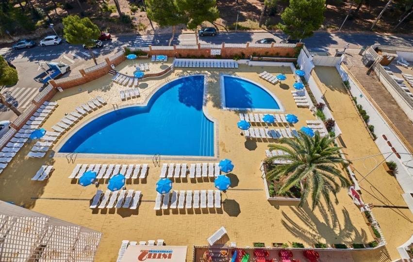 Apartment Internaciona Ii *