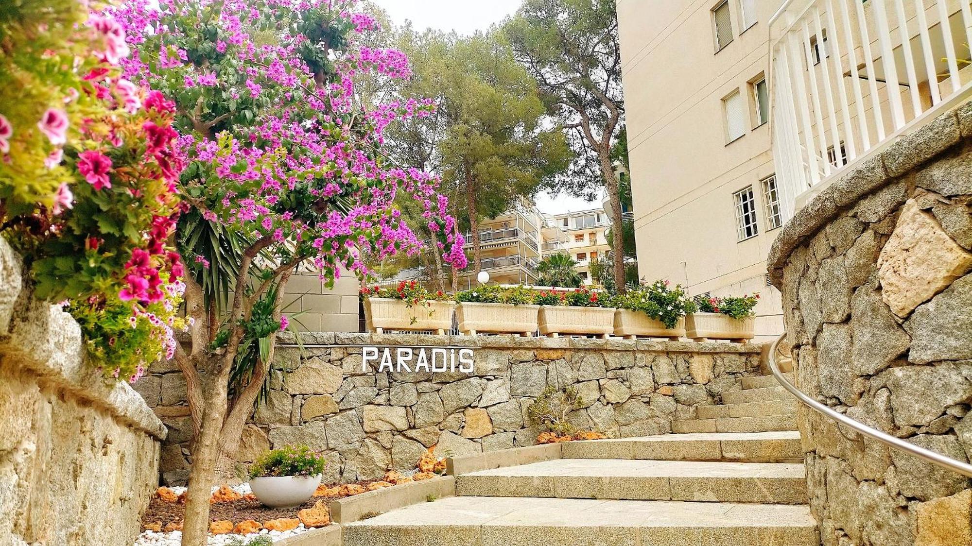 Apartment Paradis, Stunning Sea View & Close Center *