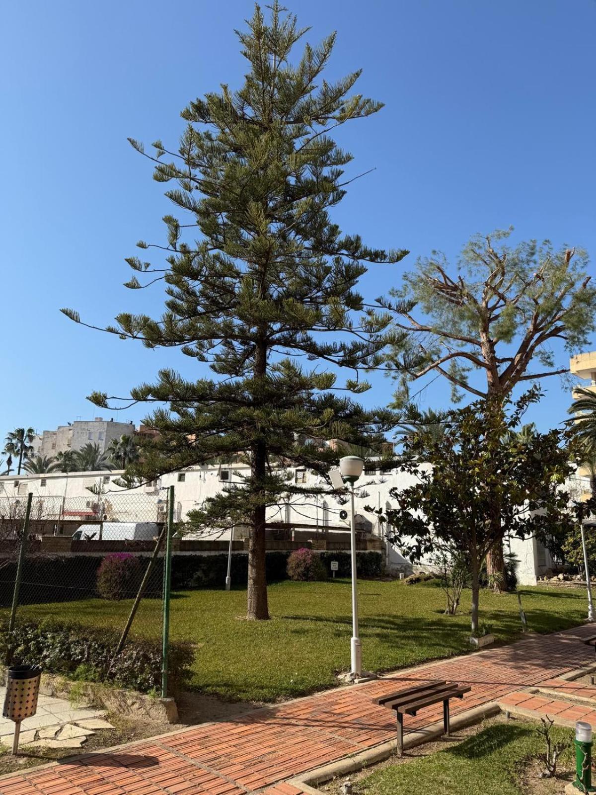 Hesperia Palmyra Apartment Salou