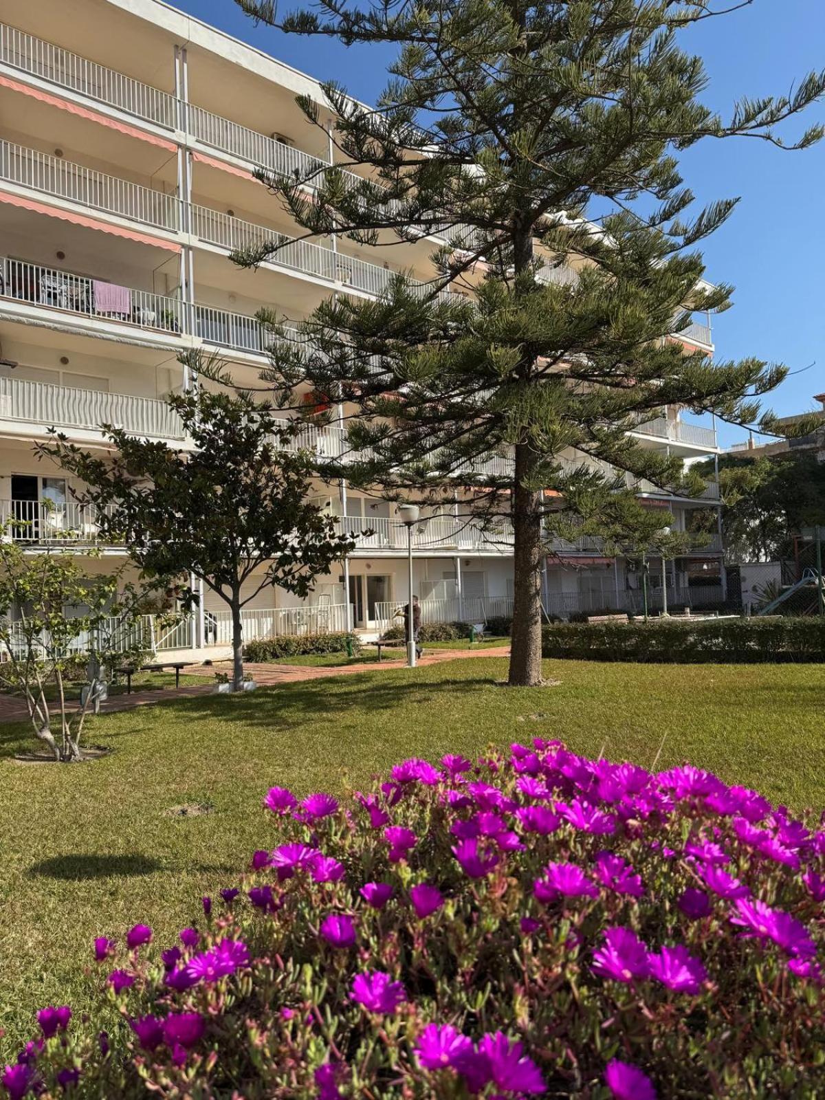 Apartment Hesperia Palmyra