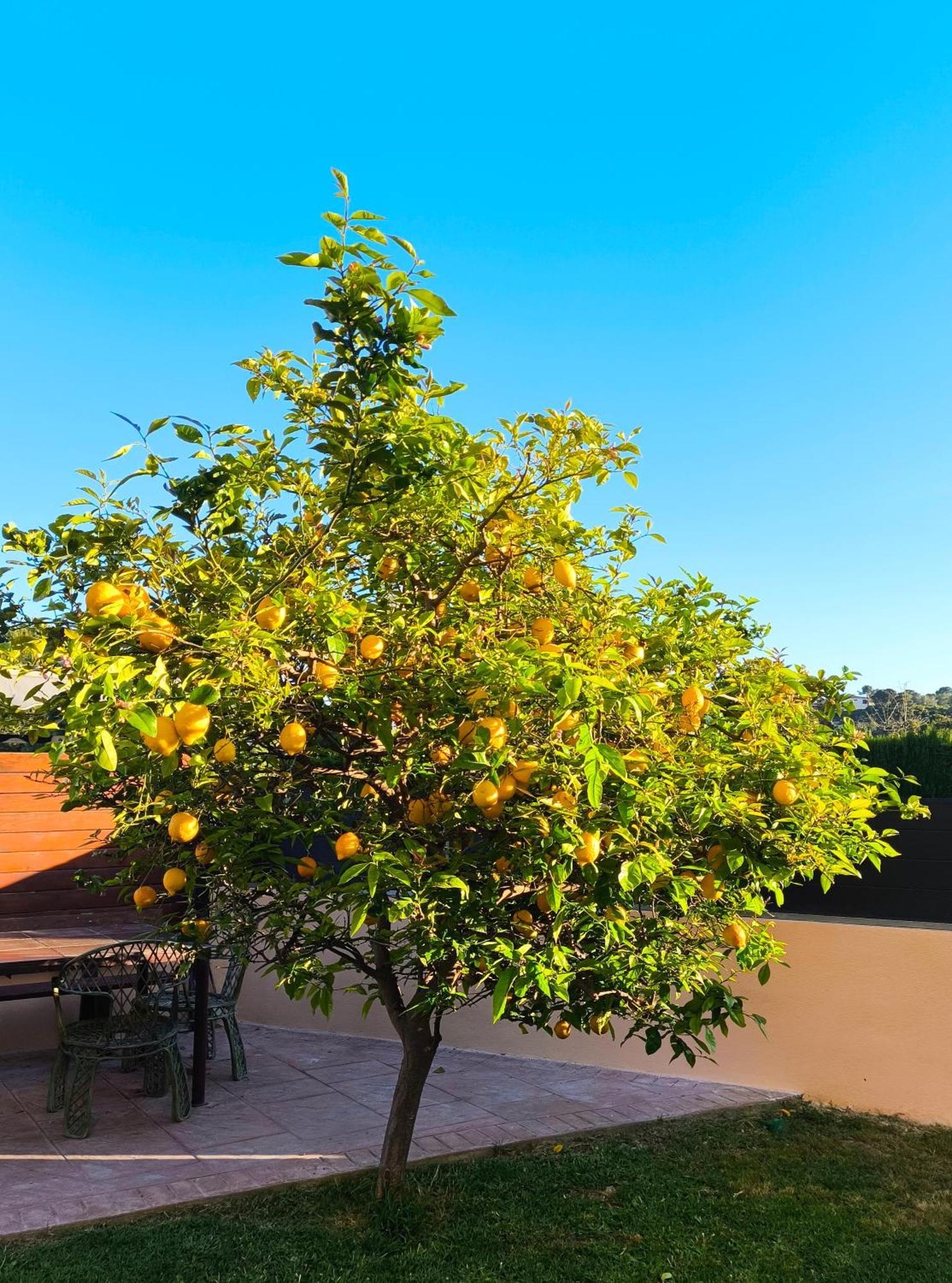 Adosado Con Jardin En Xalets De