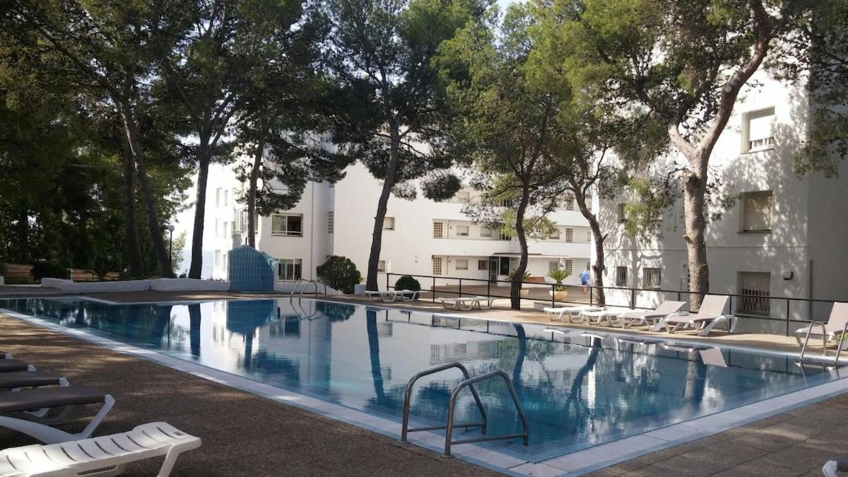 Apartmento En Primera Linea De Mar, Vistas Al Mar Y Piscina *