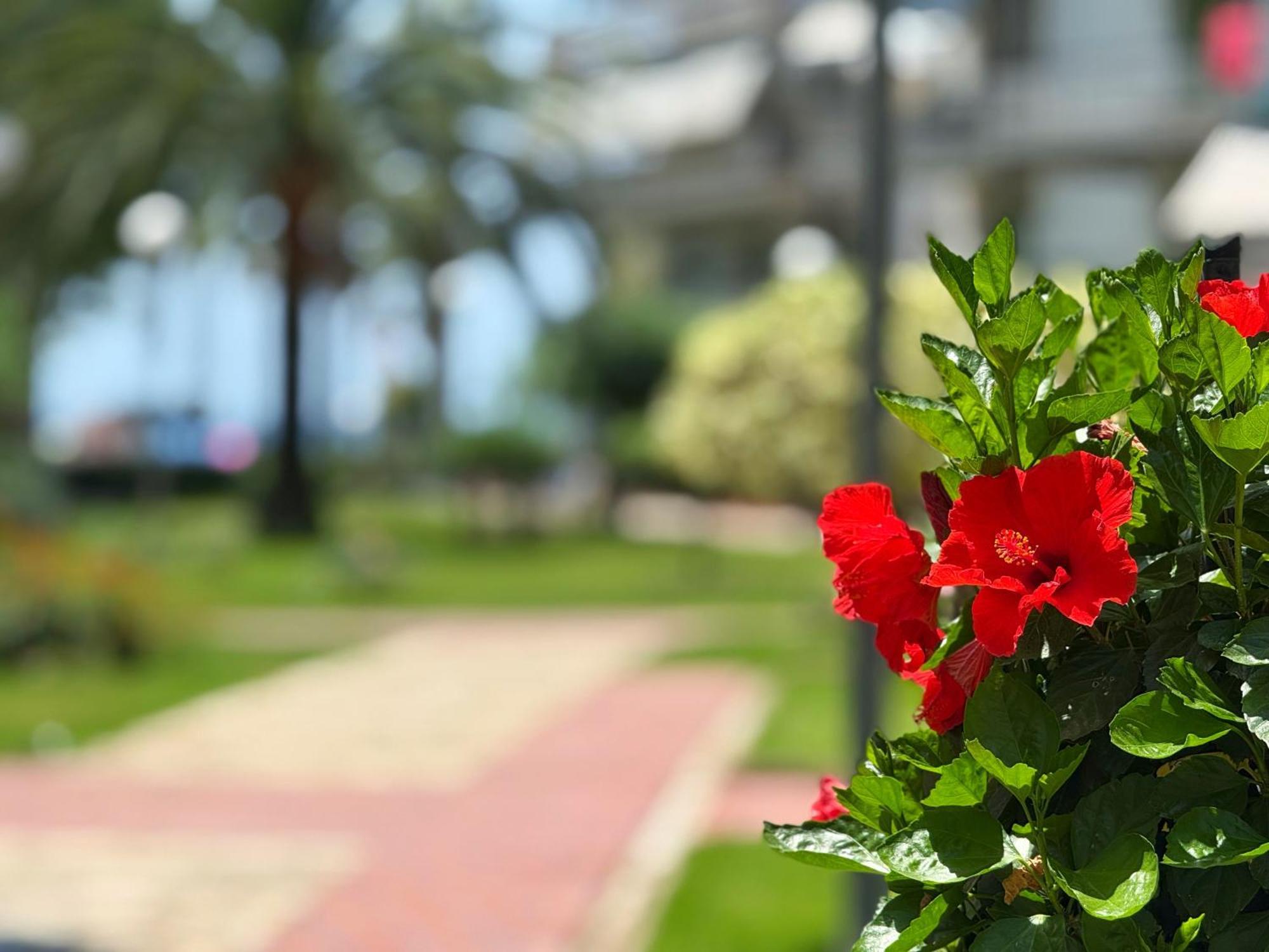 Domuum Holidays - Delfos Apartment Salou