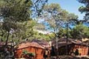 Camping Torre De La Mora 5*