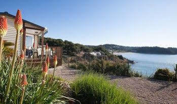 Torre De La Mora Camping