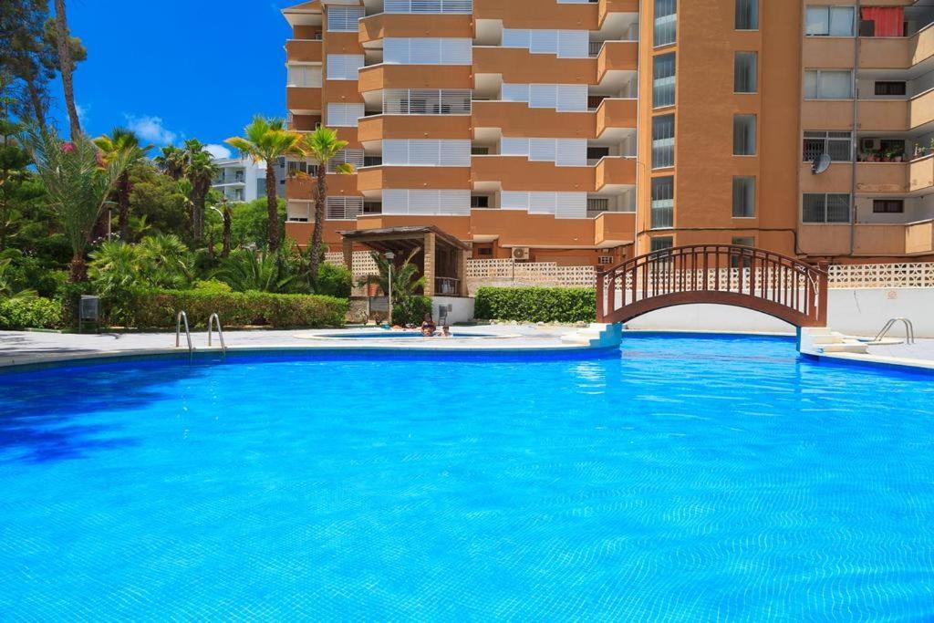 Amazing Buigas Salou