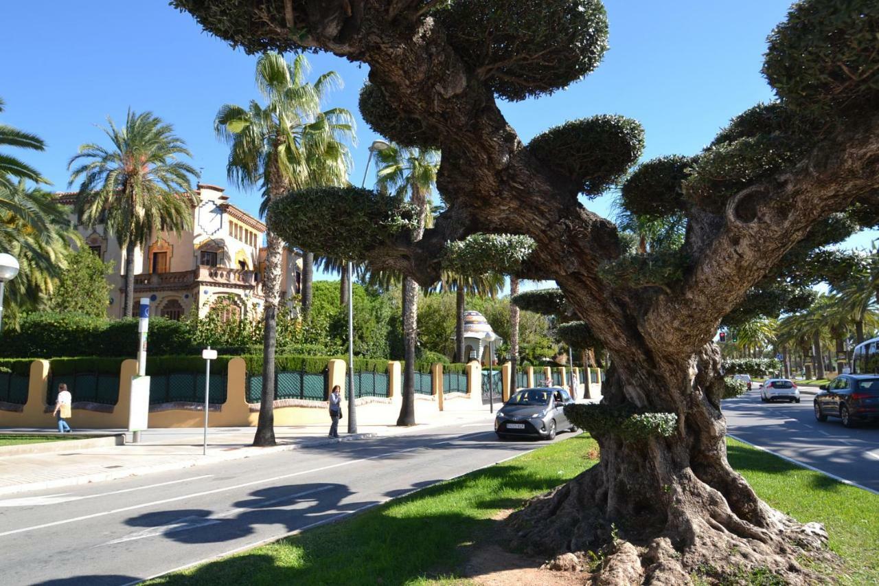 Apartment Wvp - Jardines Family 6 *