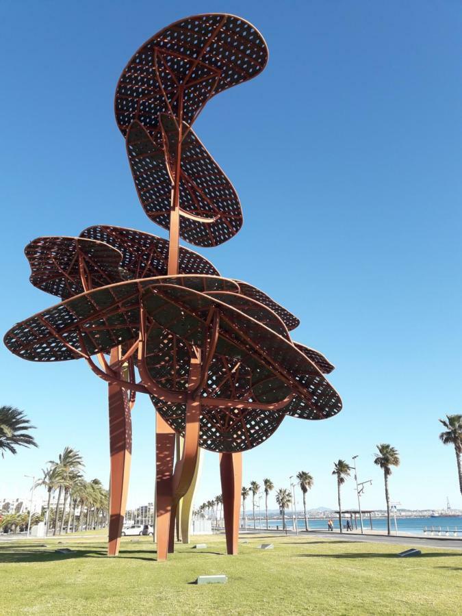 Mirador Cap * Salou