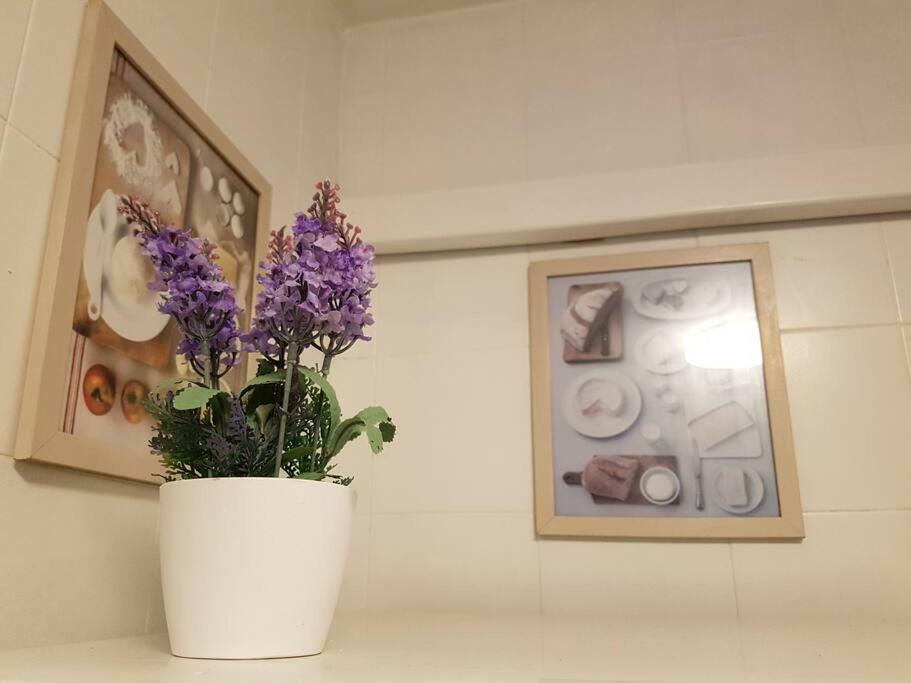 Apartamento Excepcional,piscina Y 100m De La Playa, Parking Gratis!! *
