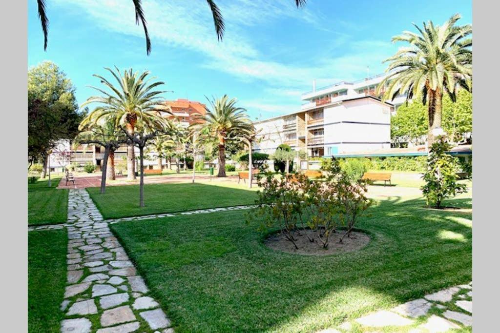 Book Mallorca Ii *