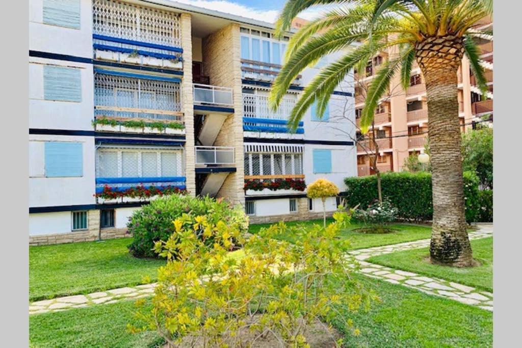 Book Mallorca Ii Apartment