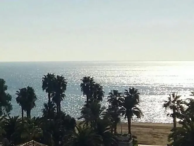 Salou Alexis II