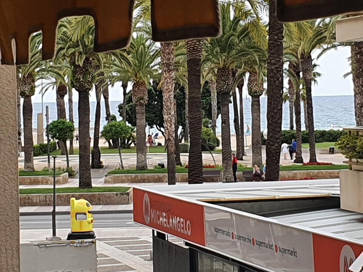 ,novelty, Primera Línea Del Mar Apartamento *