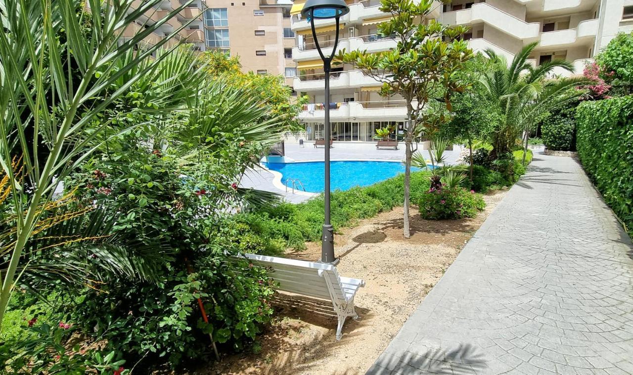 Arquus Center Apartment