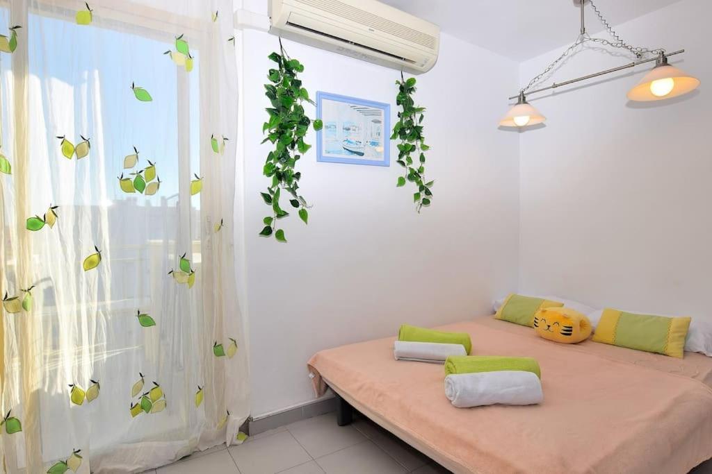 Appartement Pino Alto *