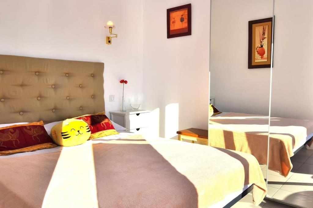 Appartement Pino Alto