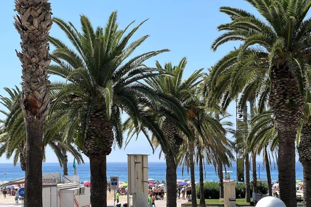 Primera Linea De Mar Con Jardin Apartment