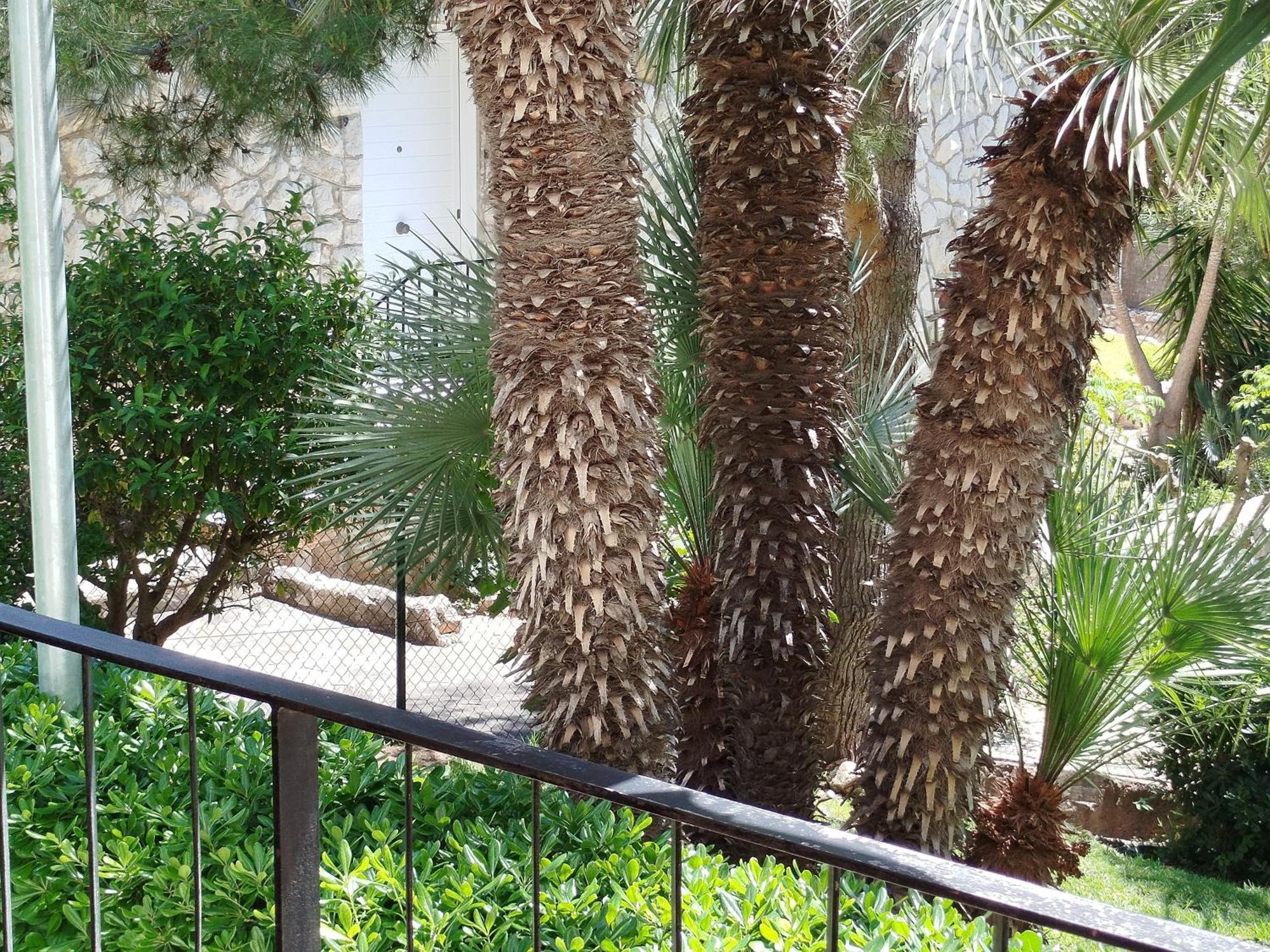 Brisa Del Mar Apartment