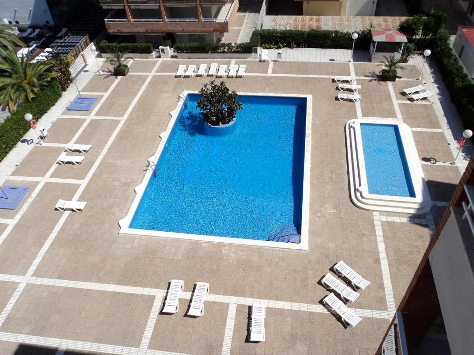 Argia Salou