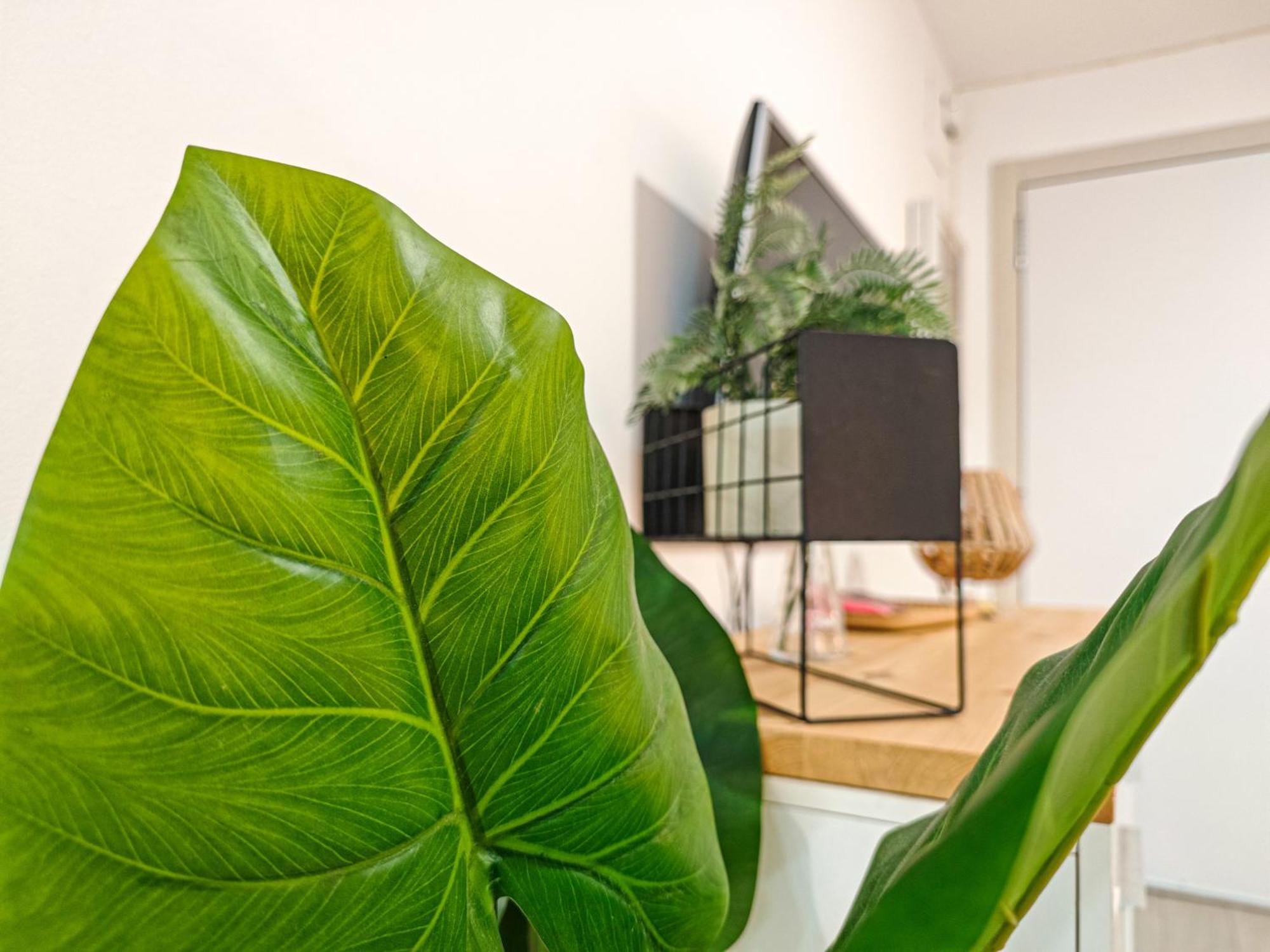 Apartment Litoral - Jardin Babilonia Only Families (adults Only) Salou
